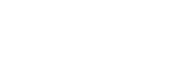 فاسٹ ٹرانسفر logo